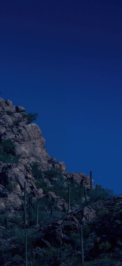 Fond d'écran iPhone Moon Appears In The Night Sky