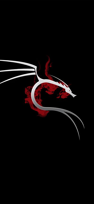 Fond d'écran iPhone Kali Linux 4k