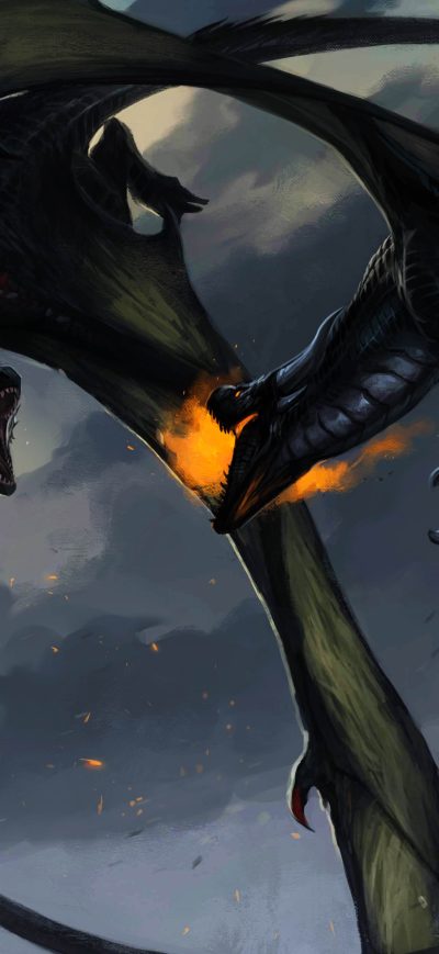 Fond d'écran iPhone Dragon Fighting Throwing Flame