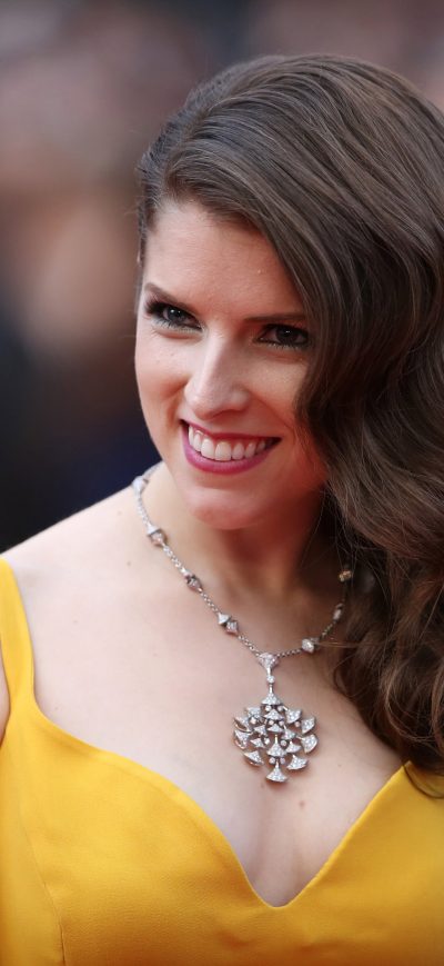 Fond d'écran iPhone Anna Kendrick In 2017