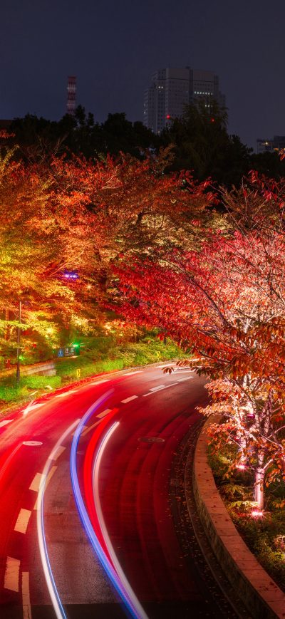 Fond d'écran iPhone Japan Tokyo Roads Autumn Trees Night