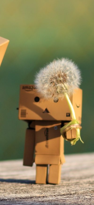 Fond d'écran iPhone Danbo