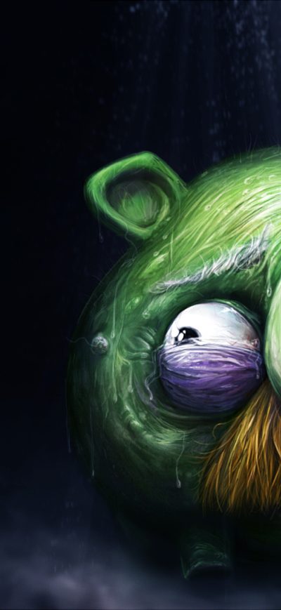 Fond d'écran iPhone Angry Birds Movie