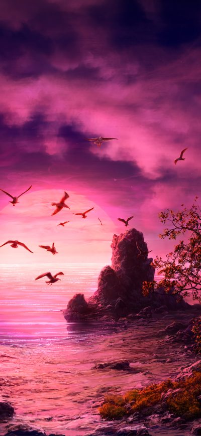Fond d'écran iPhone Seagull Birds Boat Landscape Purple Sunset