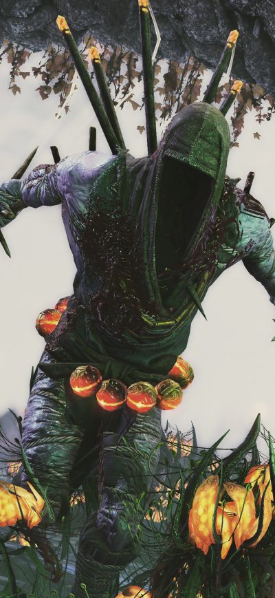 Fond d'écran iPhone Shadow Warrior 2