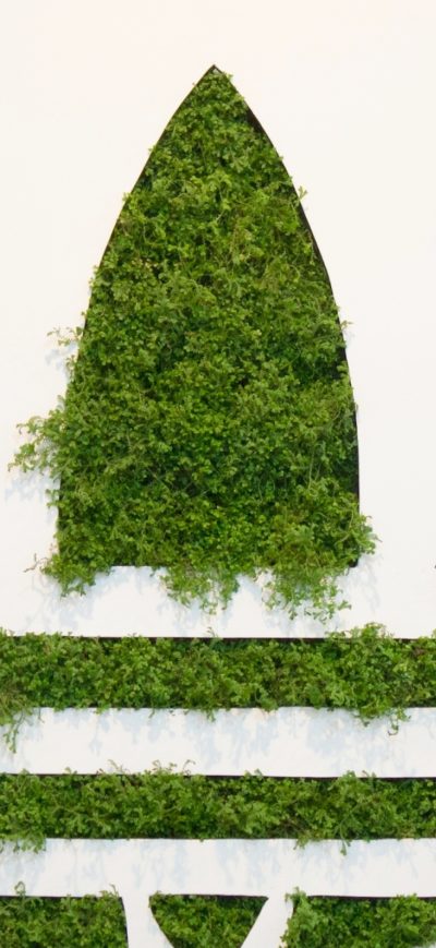 Fond d'écran iPhone Adidas Grass Logo