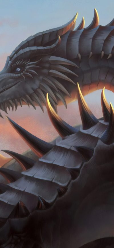 Fond d'écran iPhone Old Hermit Paarthurnax 4k
