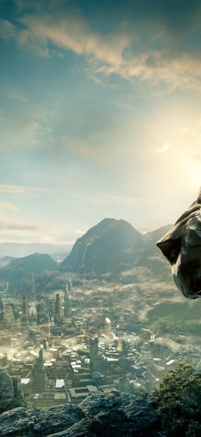 Fond d'écran iPhone Black Panther 2017 8k