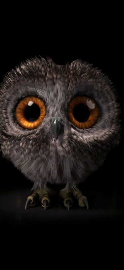 Fond d'écran iPhone Pinfeather Fluffy Owl 4k