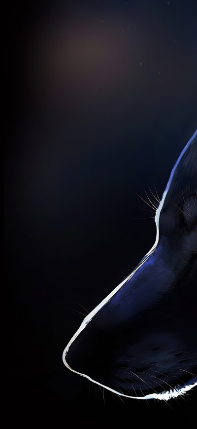 Fond d'écran iPhone Wolf Glowing Eyes 4k