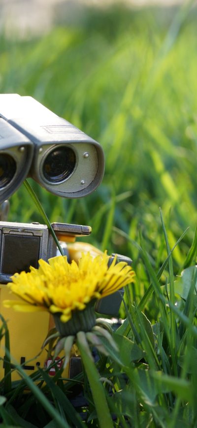 Fond d'écran iPhone Wall E Robot
