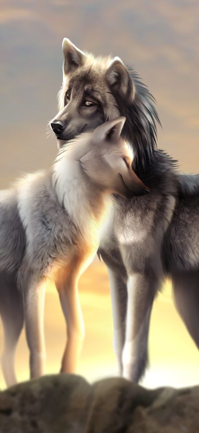 Fond d'écran iPhone Wolves Love