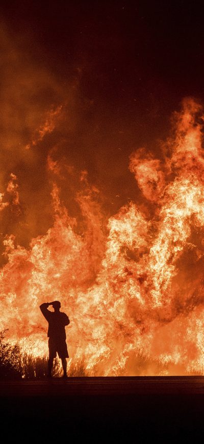 Fond d'écran iPhone Man Watching Fire In The Jungle