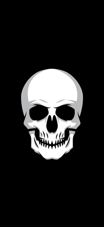 Fond d'écran iPhone Skull Logo