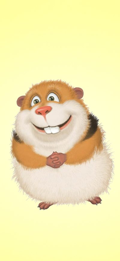 Fond d'écran iPhone Guinea Pig Hamster