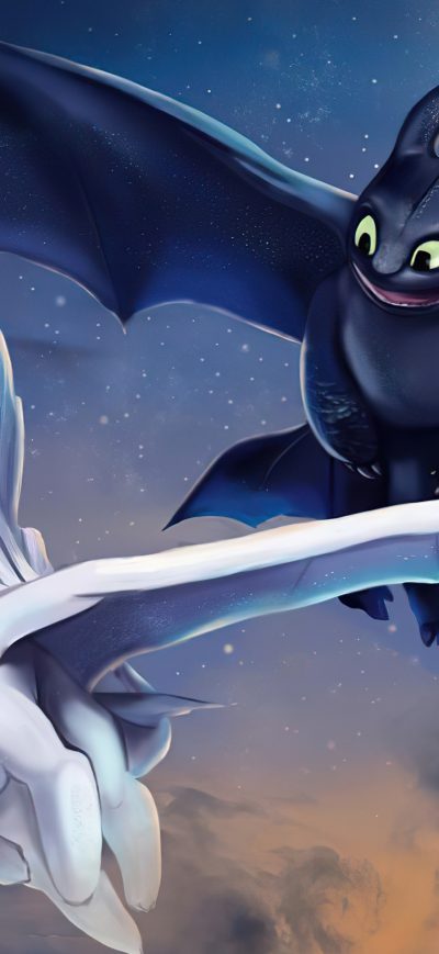Fond d'écran iPhone Toothless And Light Fury Art 5k