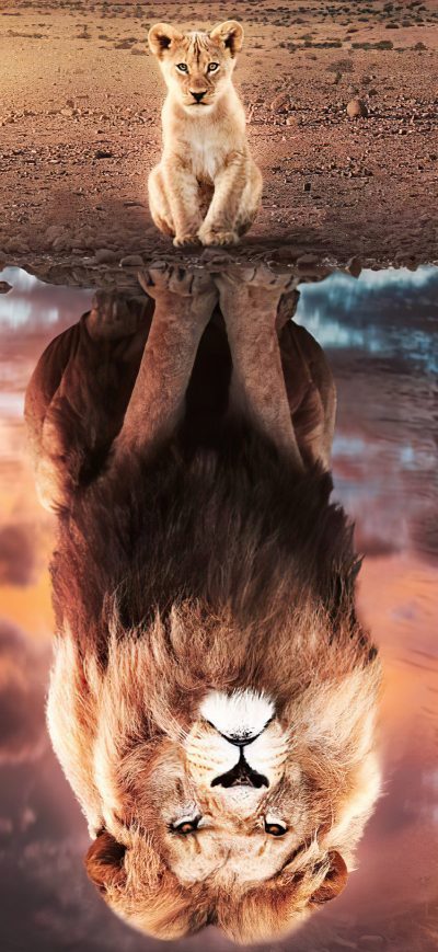 Fond d'écran iPhone The Lion King Fanart 5k