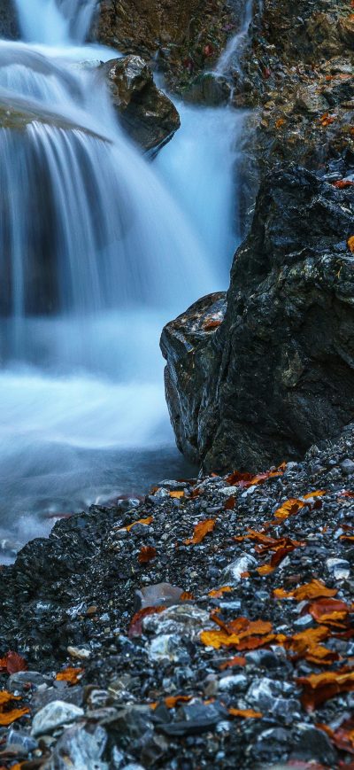 Fond d'écran iPhone Waterfall Forest Ultra Hd 5k