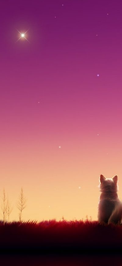 Fond d'écran iPhone Anime Girl Sunset