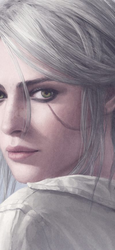 Fond d'écran iPhone The Witcher 3 Wild Hunt Art 2