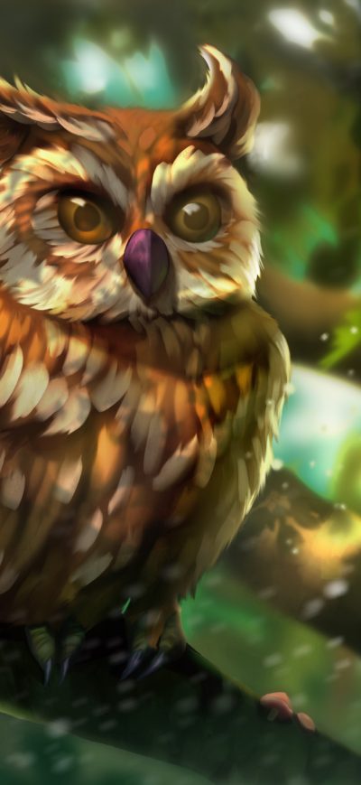 Fond d'écran iPhone Owl Colorful Art