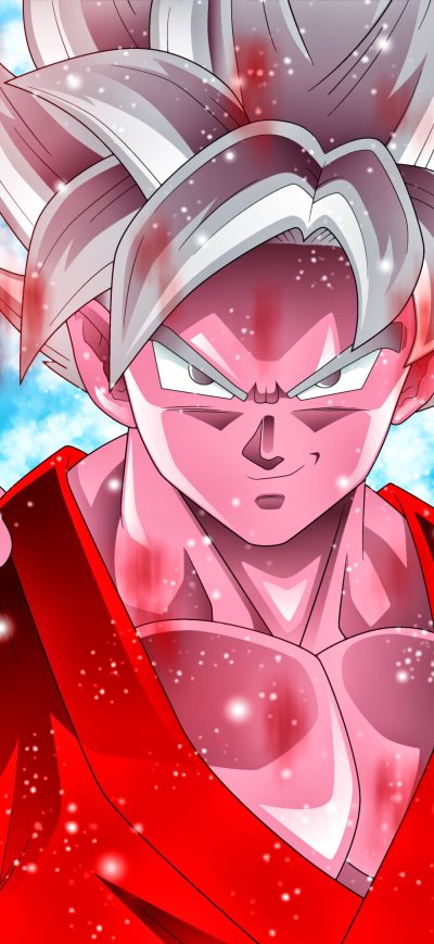 Fond d'écran iPhone 4k Dragon Ball Super Goku