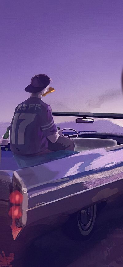 Fond d'écran iPhone Chill Duck Car