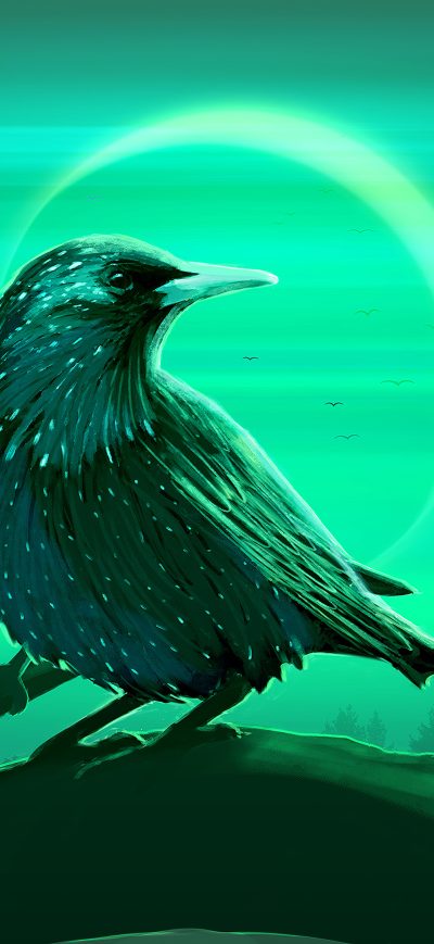 Fond d'écran iPhone Starling Eclipse 4k