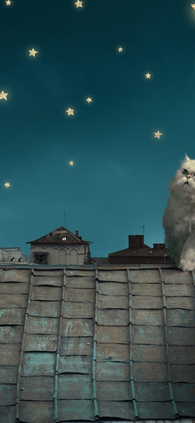 Fond d'écran iPhone Cat Moon Stars Digital Art Dreamy 5k