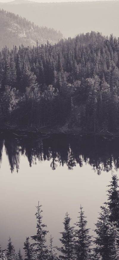Fond d'écran iPhone Trees Water Monochrome Reflection 8k