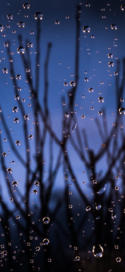 Fond d'écran iPhone Macro Water Dew 4k