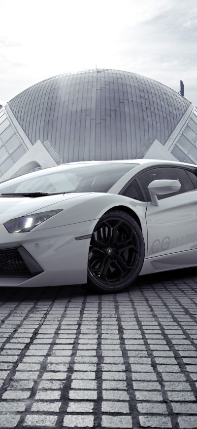 Fond d'écran White Lamborghini Aventador New sur iPhone