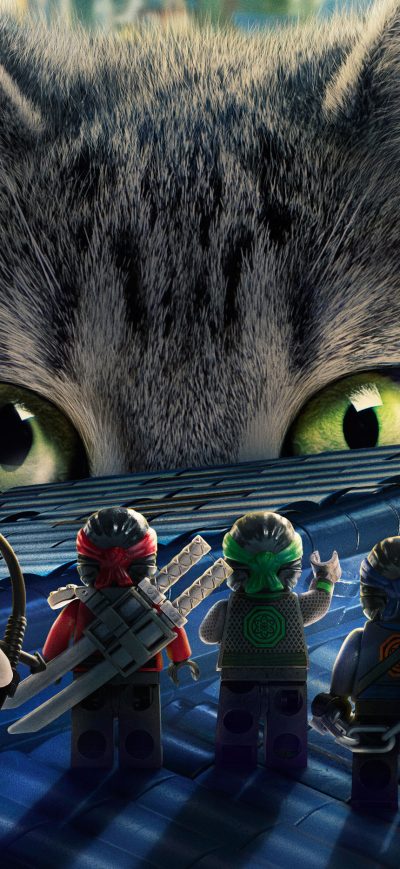 Fond d'écran iPhone 2017 The Lego Ninjago Movie