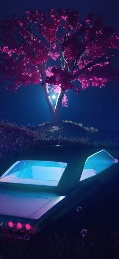 Fond d'écran iPhone Light Tree Car
