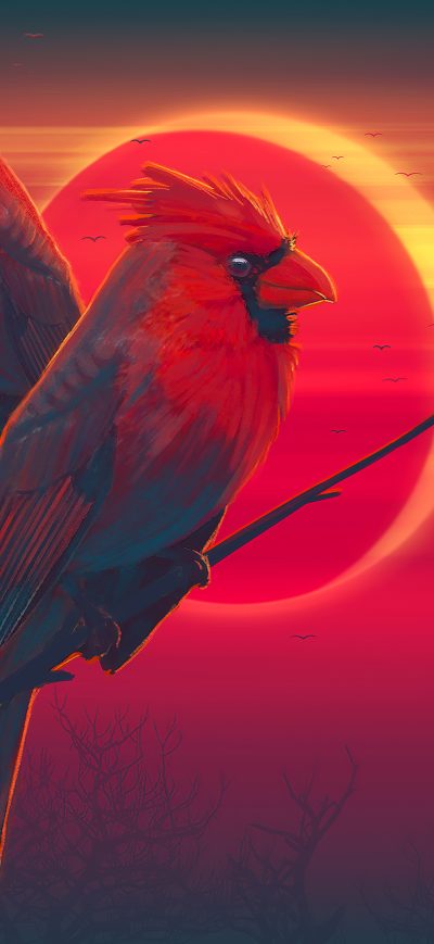 Fond d'écran iPhone Red Birds Eclipse 4k