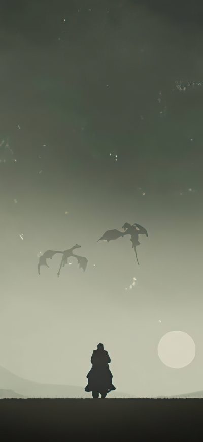 Fond d'écran iPhone Dragon And Warrior Journey 4k