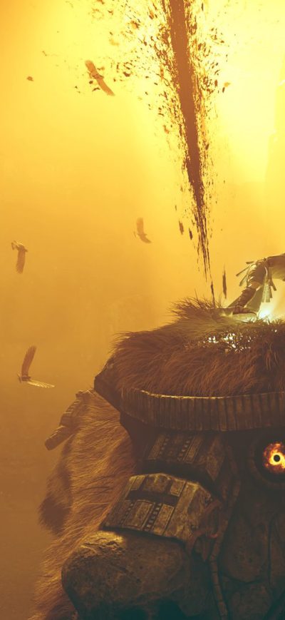 Fond d'écran Shadow Of The Colossus sur iPhone