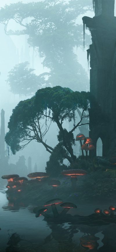 Fond d'écran iPhone Mushroom Forest Fantasy Art