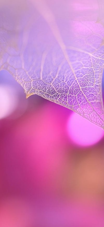 Fond d'écran iPhone Pink Leaf Macro