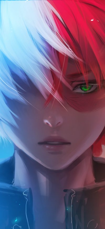 Fond d'écran iPhone My Hero Academia Anime