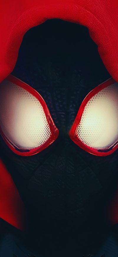 Fond d'écran iPhone Spidery Verse