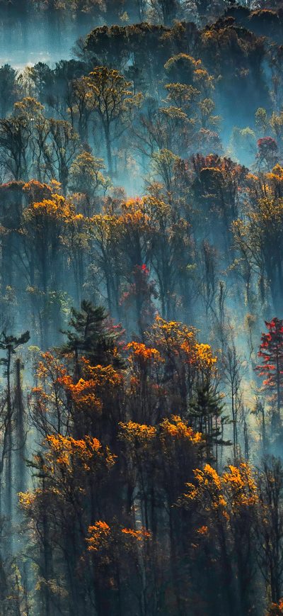 Fond d'écran iPhone Morning Mist On The Eastern Shore Of The Chesapeake Bay 4k