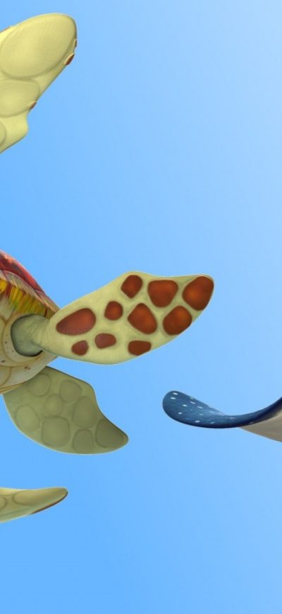 Fond d'écran iPhone Finding Dory Turtle