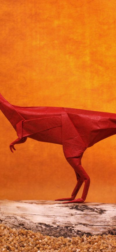 Fond d'écran Dinosaurs Origami sur iPhone
