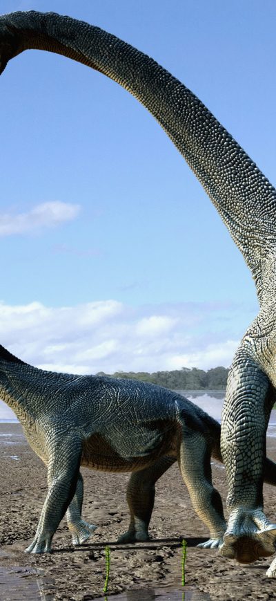 Fond d'écran iPhone Dinosaur
