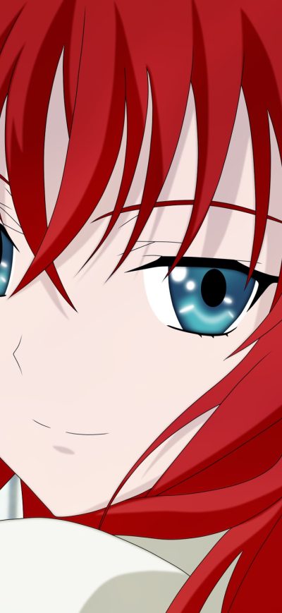 Fond d'écran iPhone Gremory Rias
