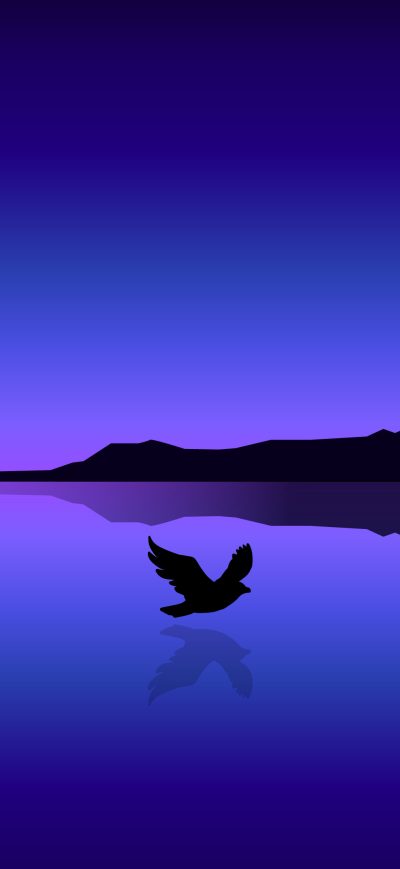 Fond d'écran iPhone Bird Flying Over Ocean Minimal 4k