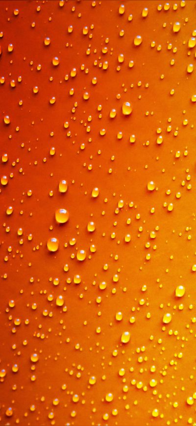 Fond d'écran iPhone Red Yellow Dew Drop Wet 5k