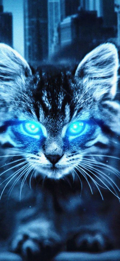 Fond d'écran iPhone Cat Glowing Eyes 4k