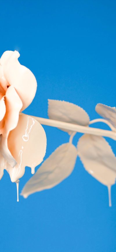 Fond d'écran Liquid Rose 4k sur iPhone